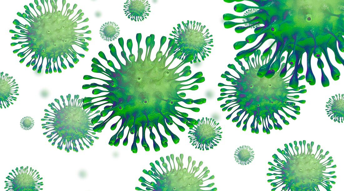 Coronavirus particles, illustration