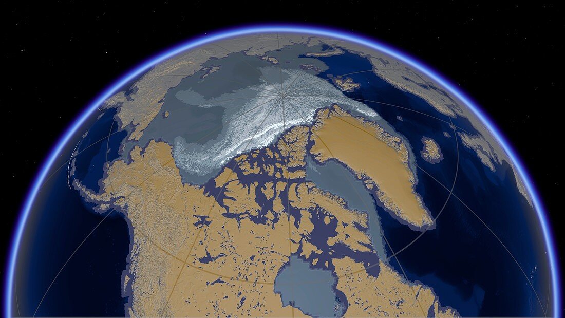 Age distribution of Arctic Ice, winter 2019