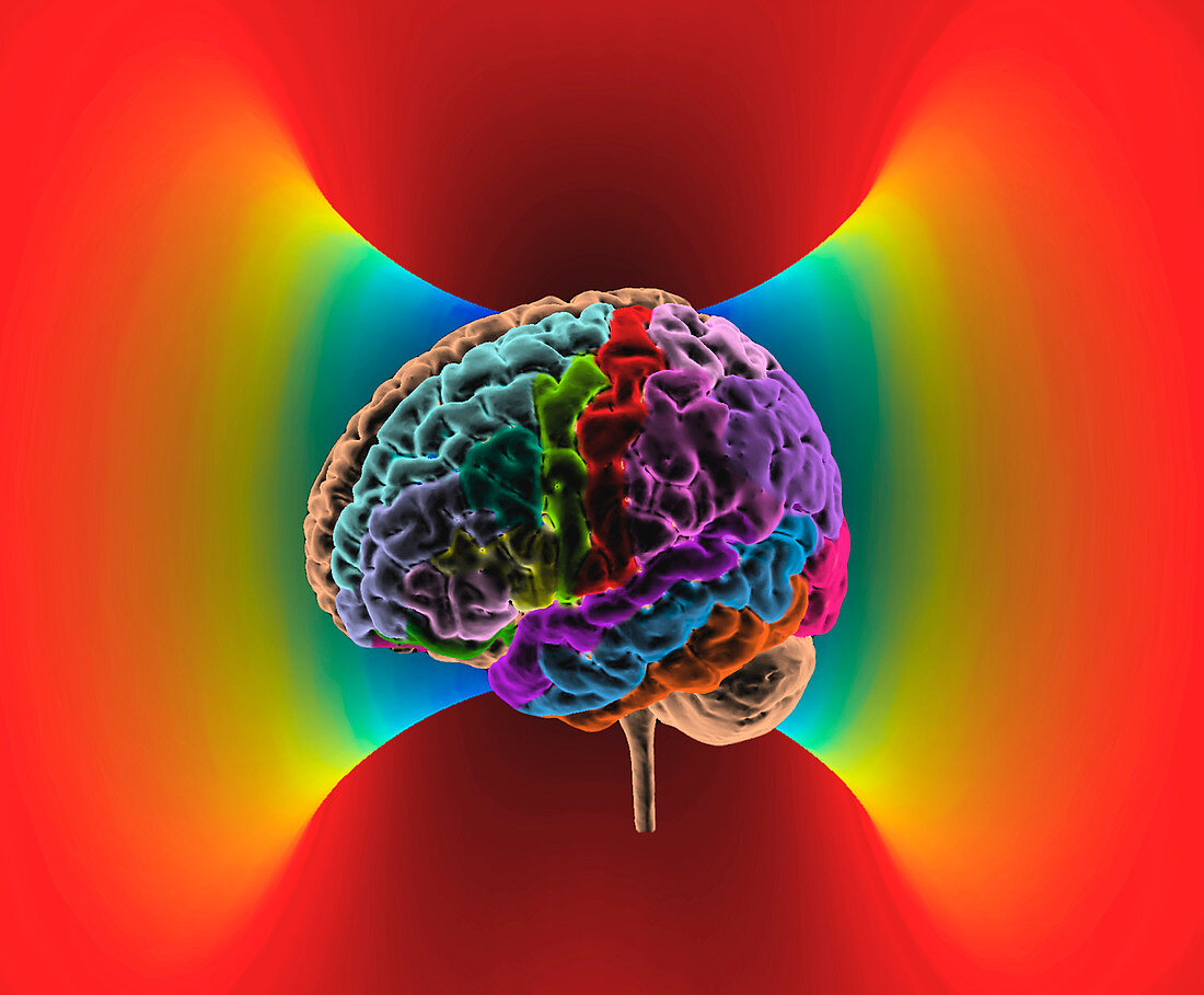 Brain mapping, composite image