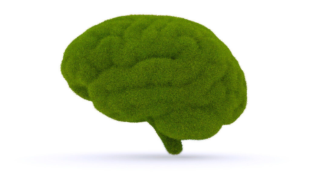 Grass brain, illustration