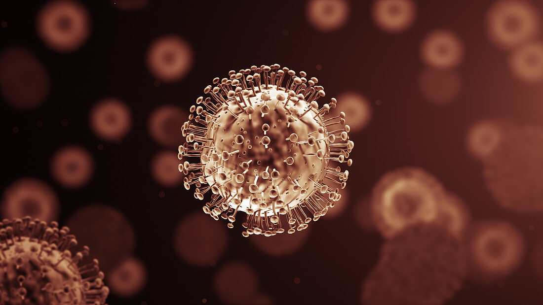 Coronavirus particles, illustration