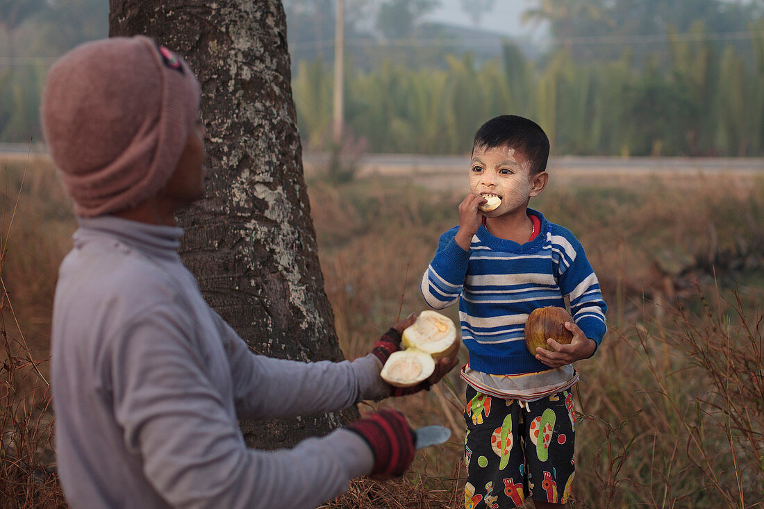 Boy eating coconut, Myanmar