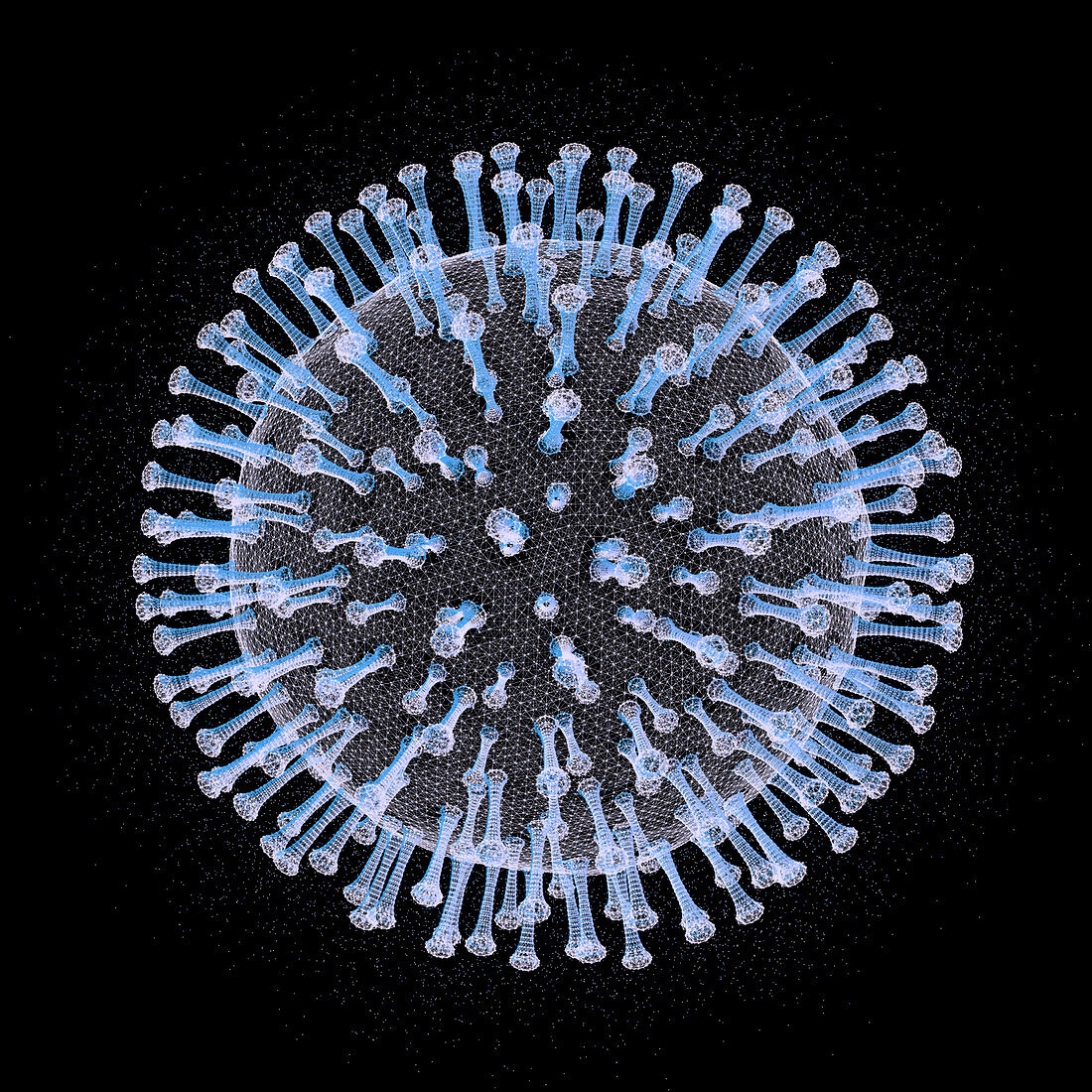 Coronavirus particle, illustration