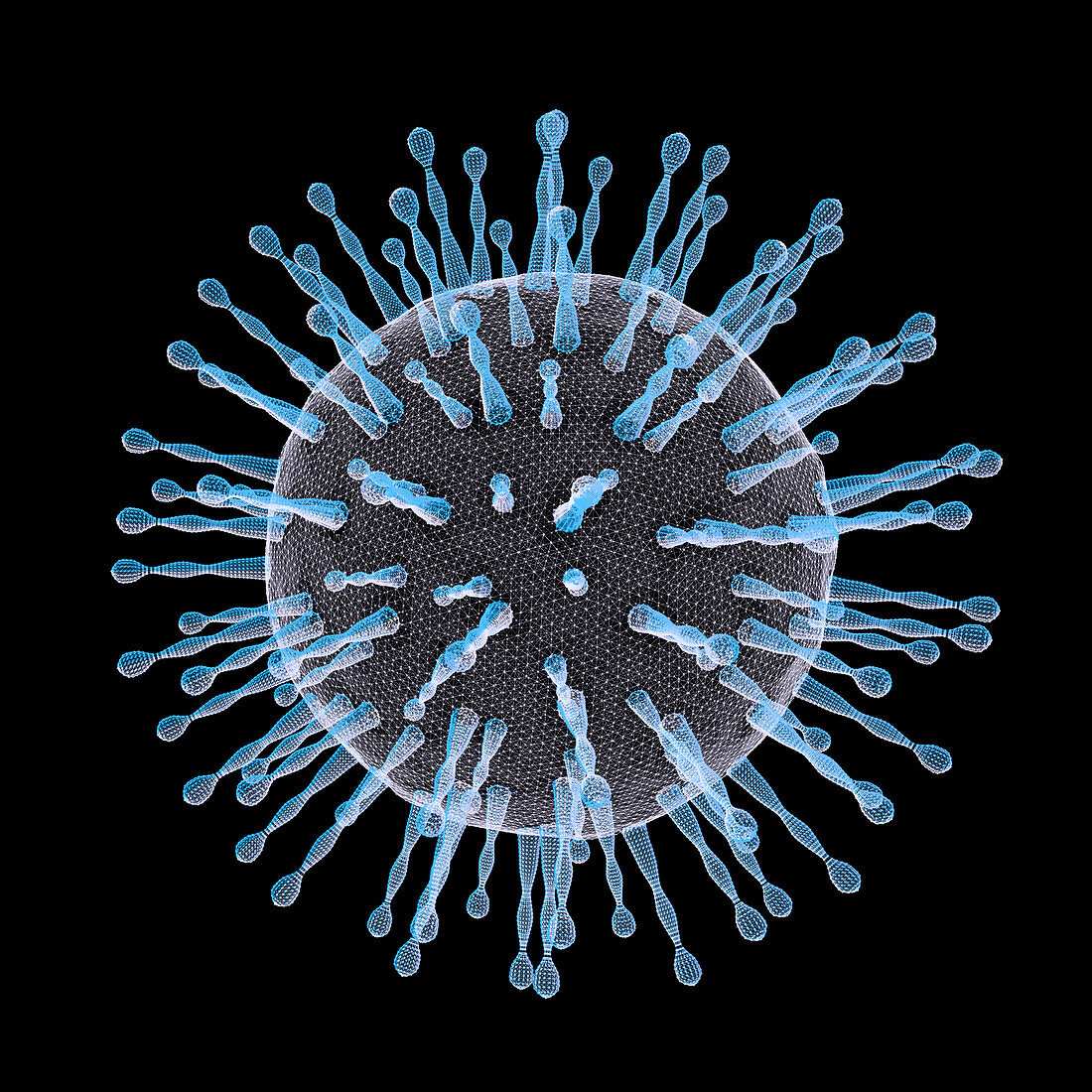 Coronavirus particle, illustration