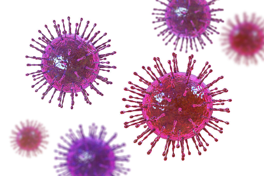 Coronavirus particles, illustration