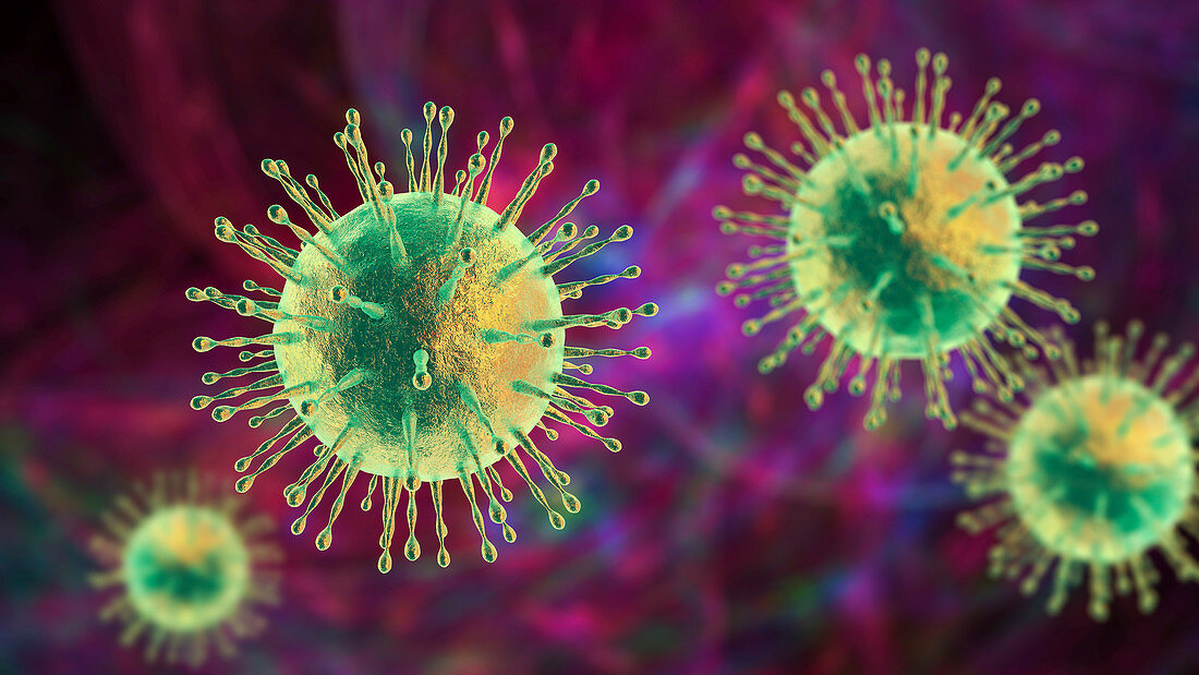 Coronavirus particles, illustration