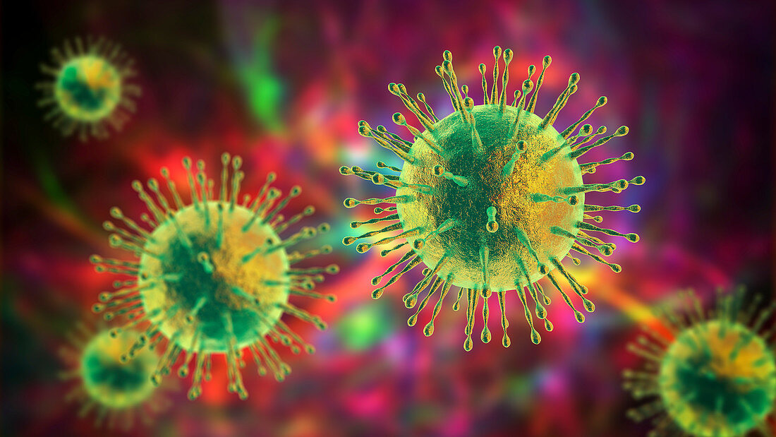 Coronavirus particles, illustration