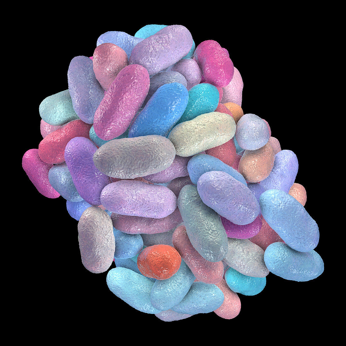 Porphyromonas gingivalis oral bacterium, illustration