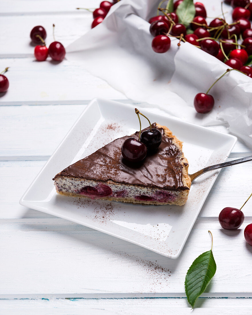 Vegan poppyseed and quark cake with sweet cherries and dark chocolate