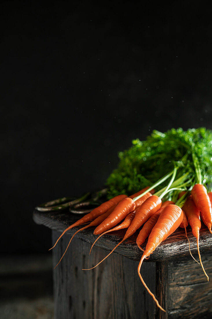 Fresh harvest of carrots