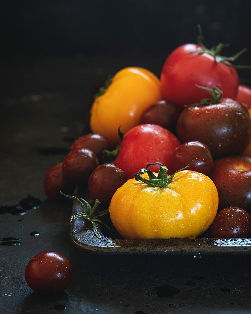 Wet multicolored tomatoes on dark background