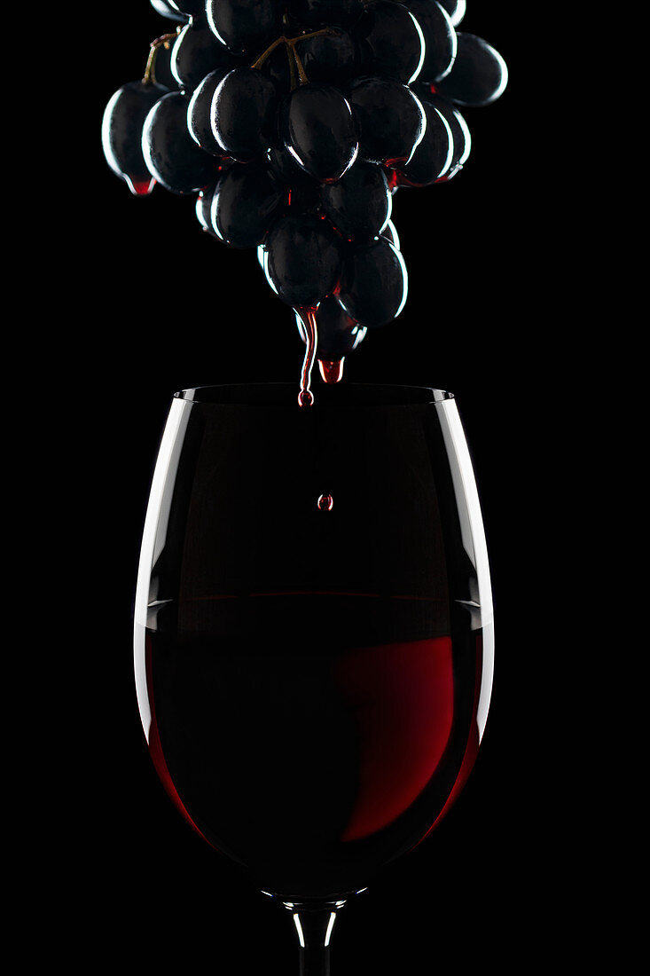 Rotwein im Glas und blaue Weintrauben