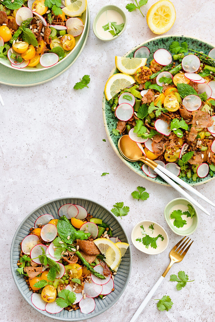 Healthy salad with beef, lettuce, and radishes