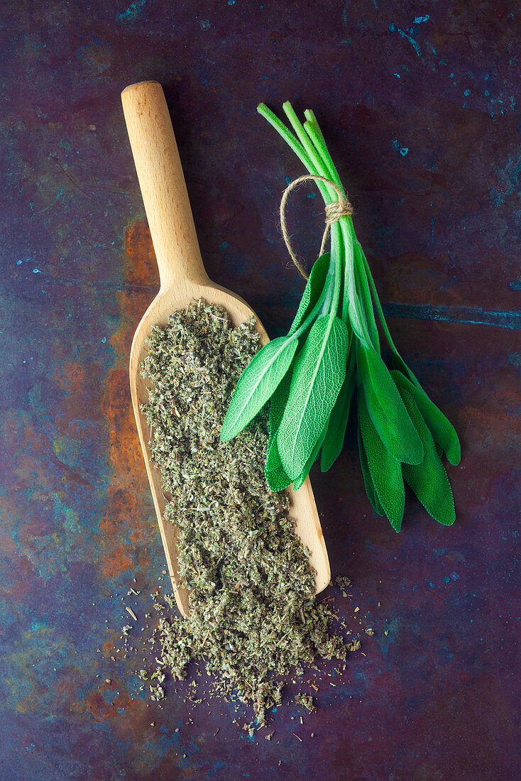 Fresh and dried sage on a metal surface