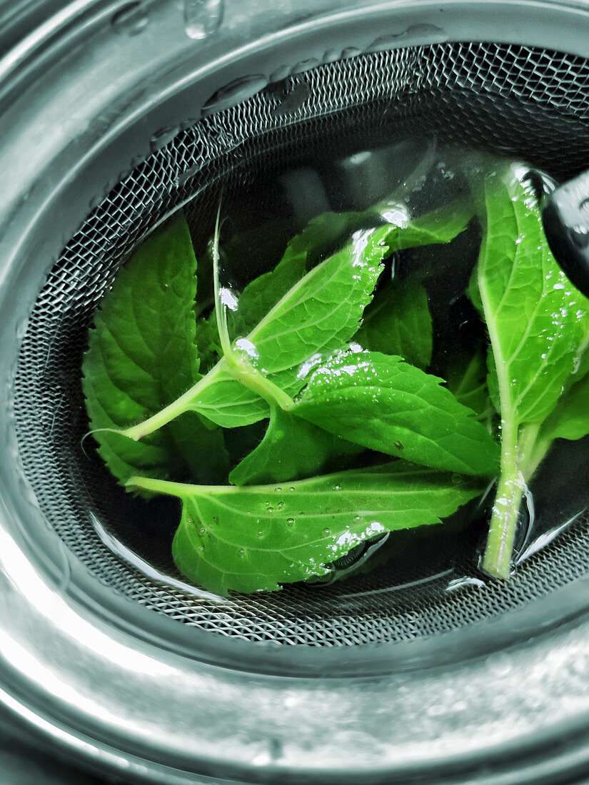 Fresh peppermint leaves in a tea strainer