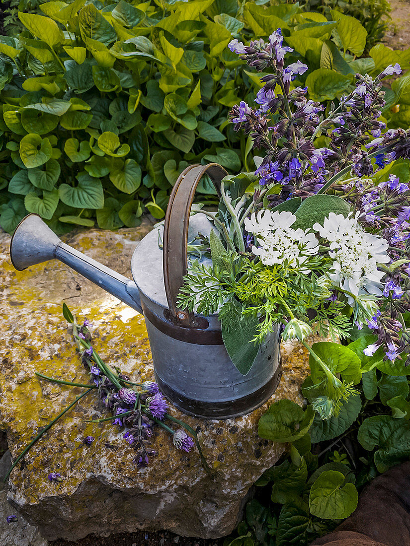 Bouquet of white and purple garden flowers in vintage watering can