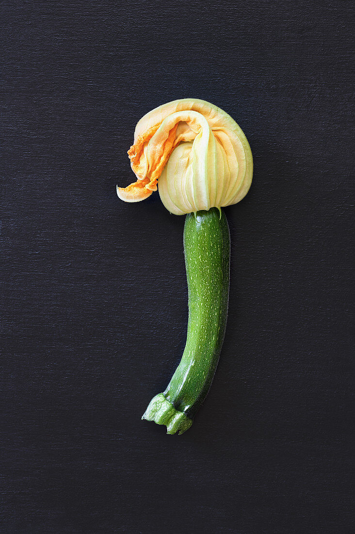 Baby courgette squash blossom