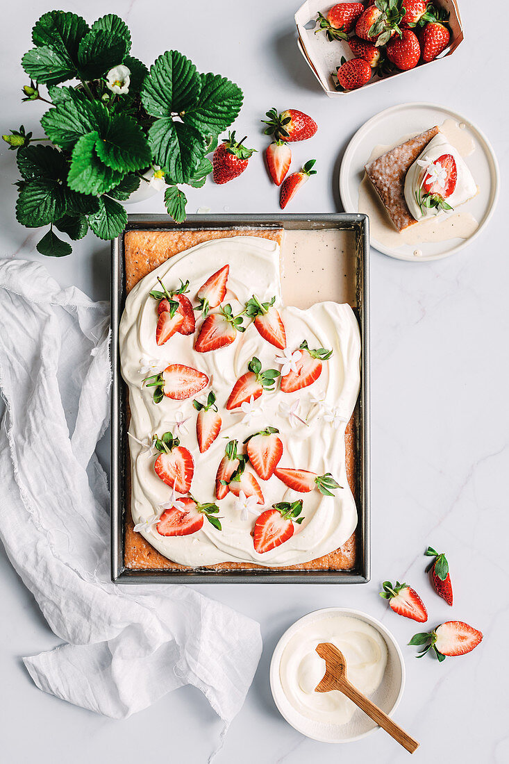 Tres Leches Cake mit Erdbeeren