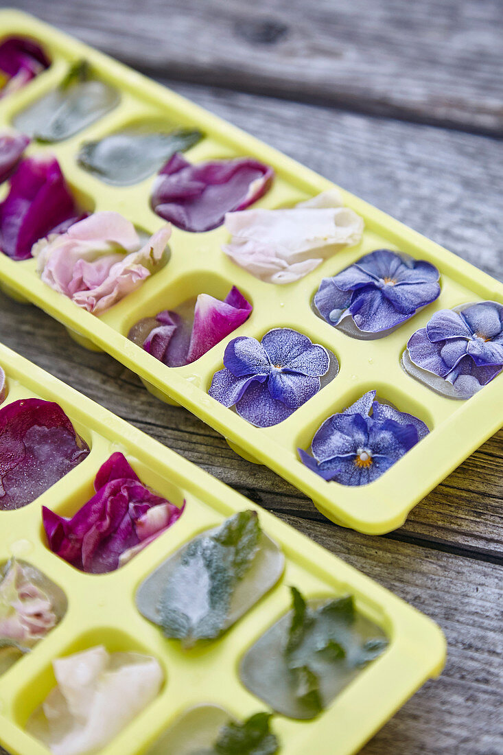 Ice cubes with flower inclusions
