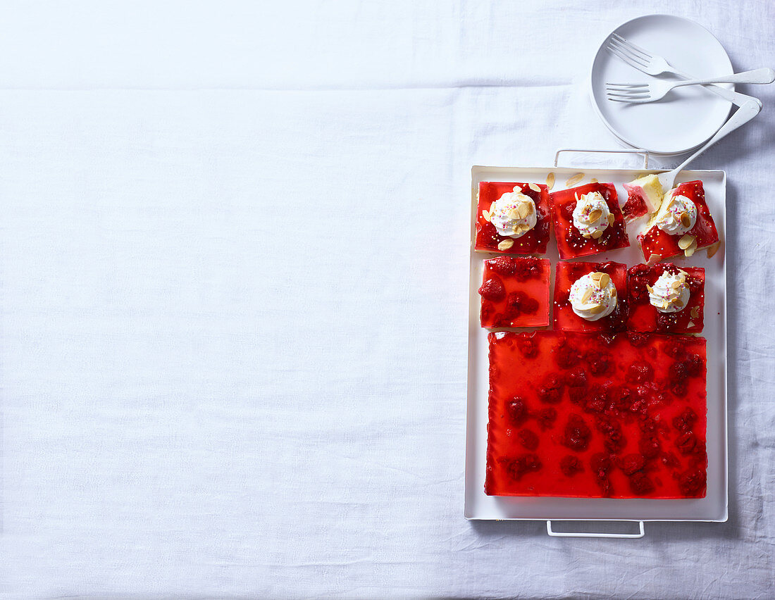 Jelly and custard trifle squares