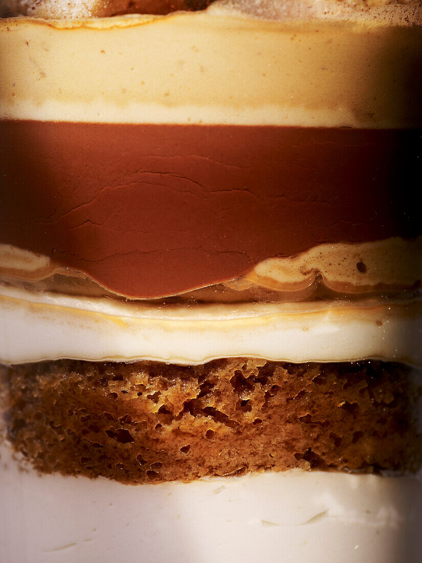 Tiramisu (detail)