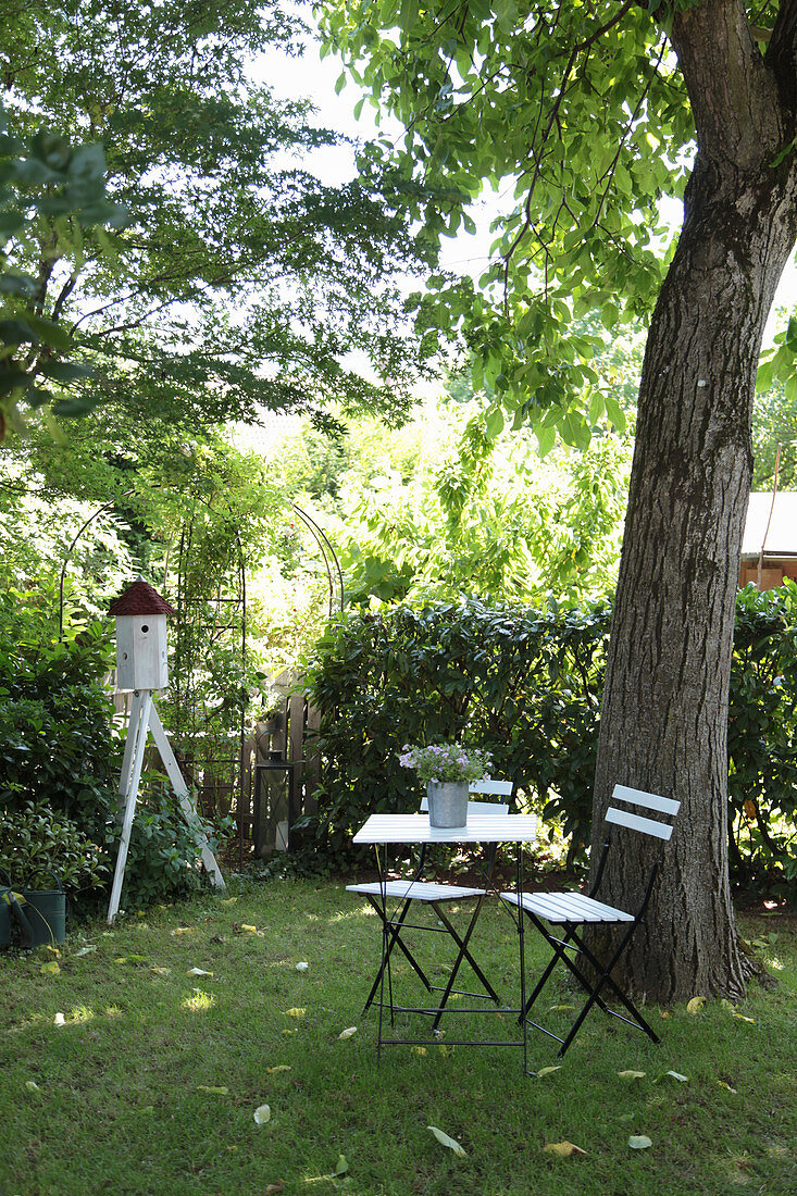 Shady seat under a tree in the garden