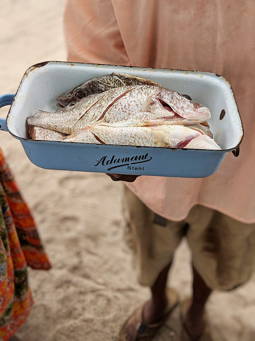 Fresh fish being presented in San Antonio, Belize