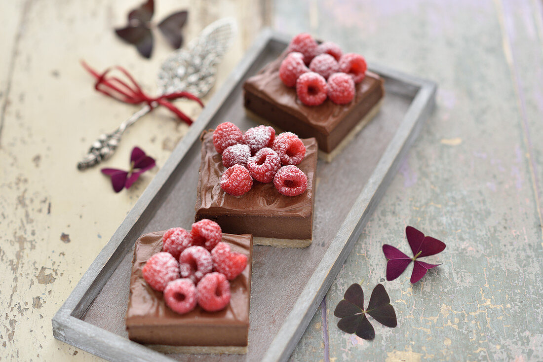 Vegan chocolate and nut slices with chocolate ganache and raspberries
