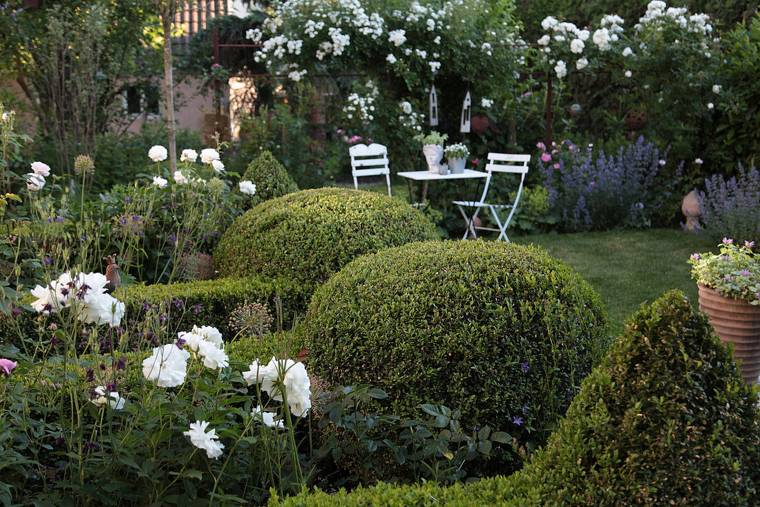 Sitzplatz im Garten mit weißen Rosen und formgeschnittenem Buchs