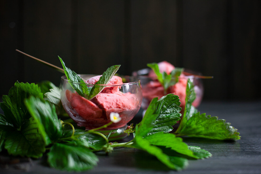 Wild strawberry sorbet