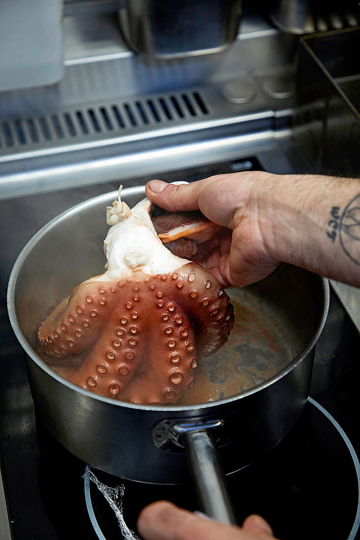 Oktopus kochen