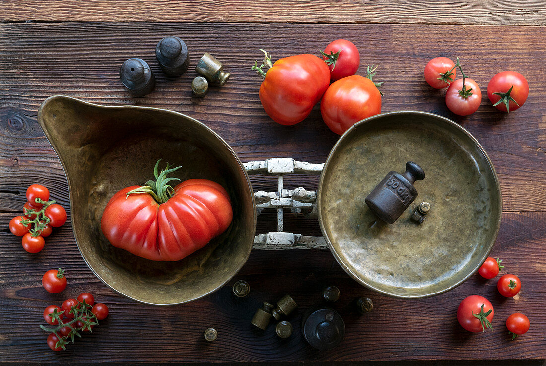 Still life with different types of tomatoes and antique kitchen scales