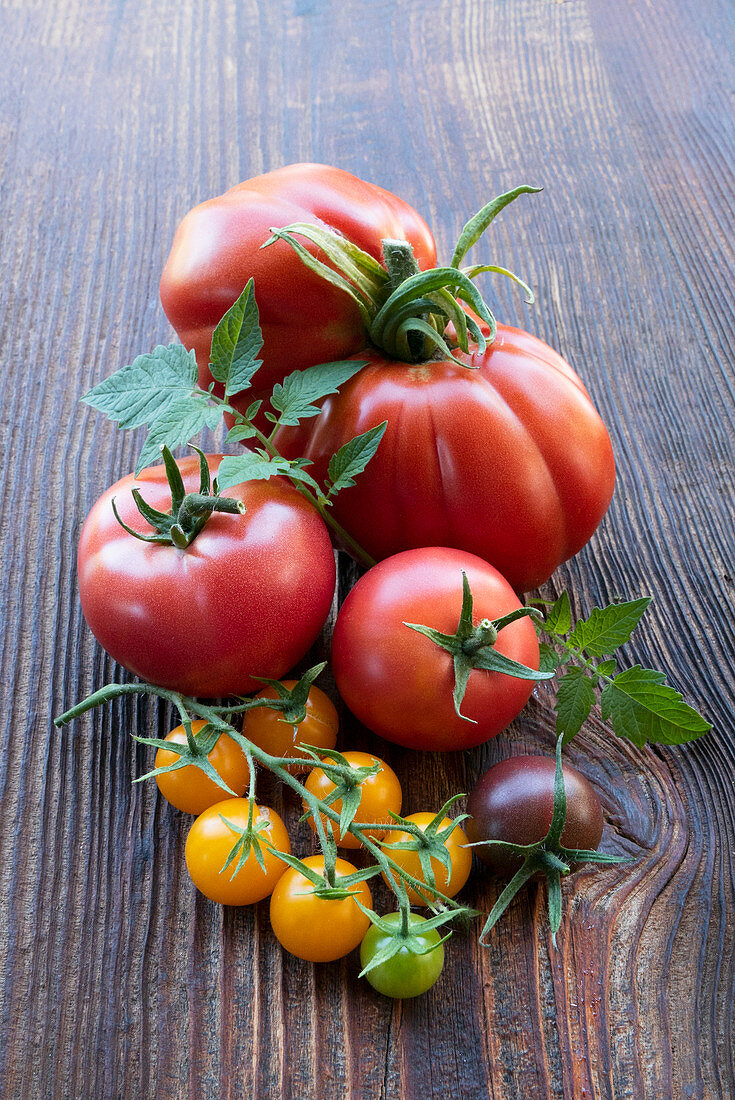 Verschiedene Tomatensorten auf Holzuntergrund