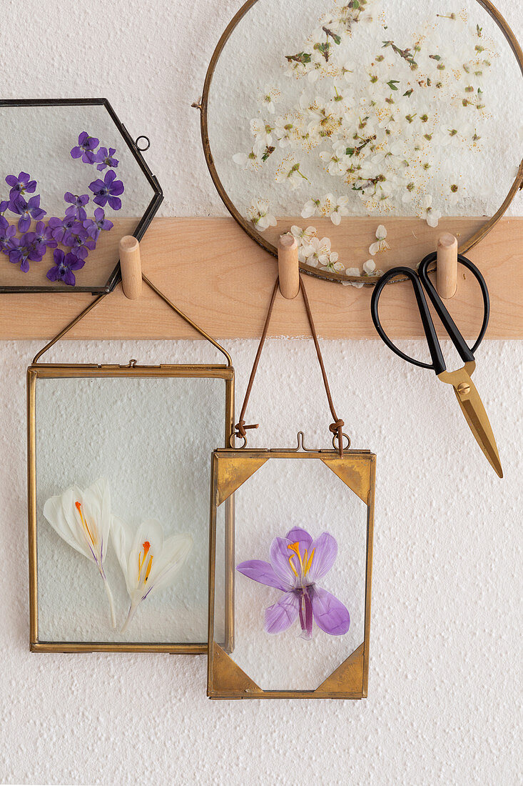 Pressed spring flowers in glass frames