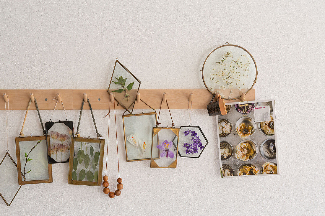 Pressed spring flowers in glass frames