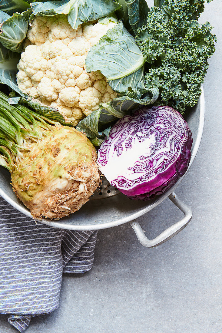 Blumenkohl, Grünkohl, Rotkohl und Knollensellerie