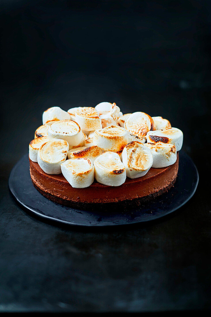 Schokoladen-Käsekuchen mit gerösteten Marshmallows