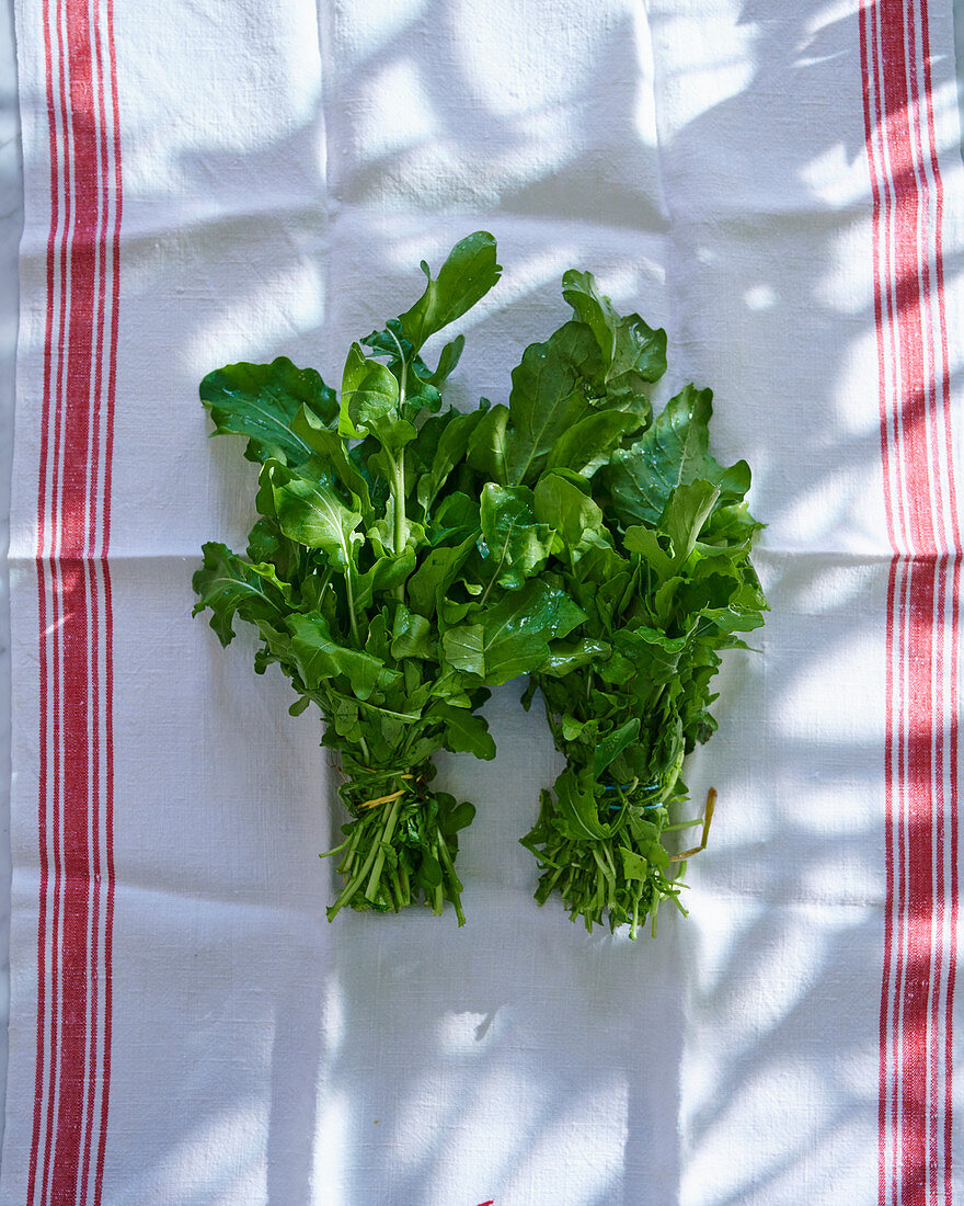 Arugula