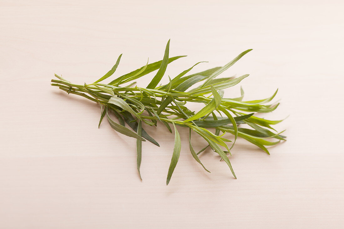 Tarragon