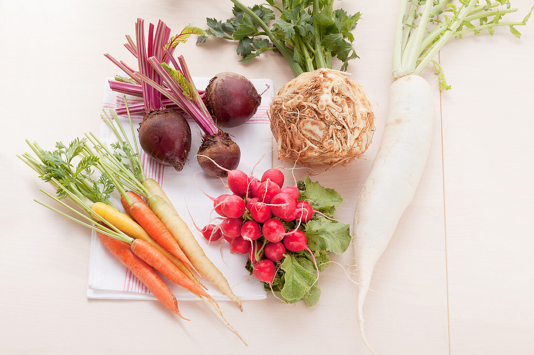 Root Vegetables; Turnip, Parsnips, Celeriac, Carrots and Rutabaga from the Portland Maine Farmers Market