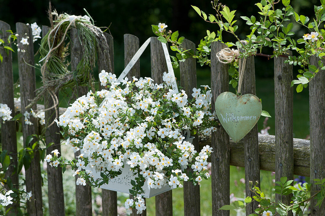 Schneeflockenblume, Metall-Herz und Graskranz als Willkommen am Zaun