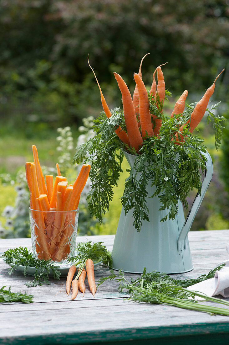 Carrots cut as sticks and as a bouquet in a jug