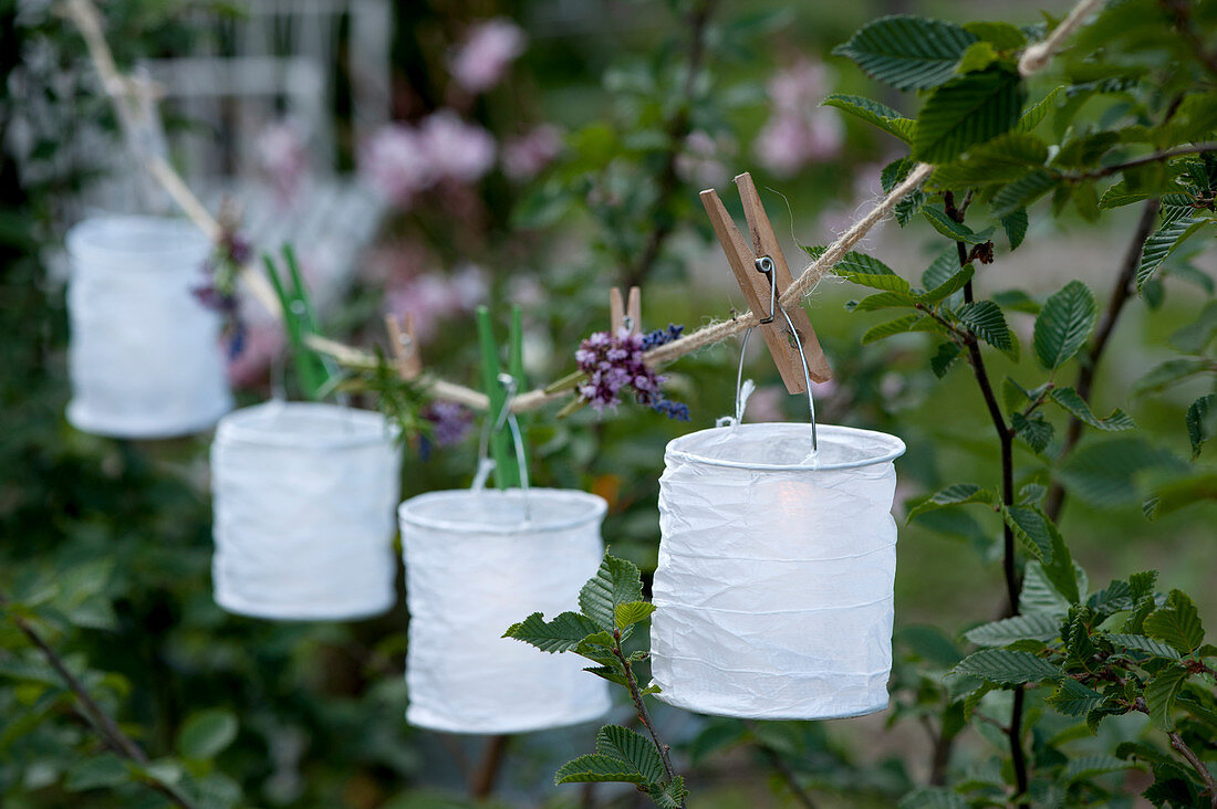 White paper lanterns and verbena flowers hung on a string with clothespins