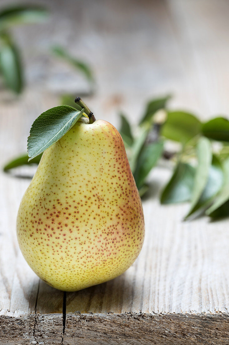 One pear on a wooden table