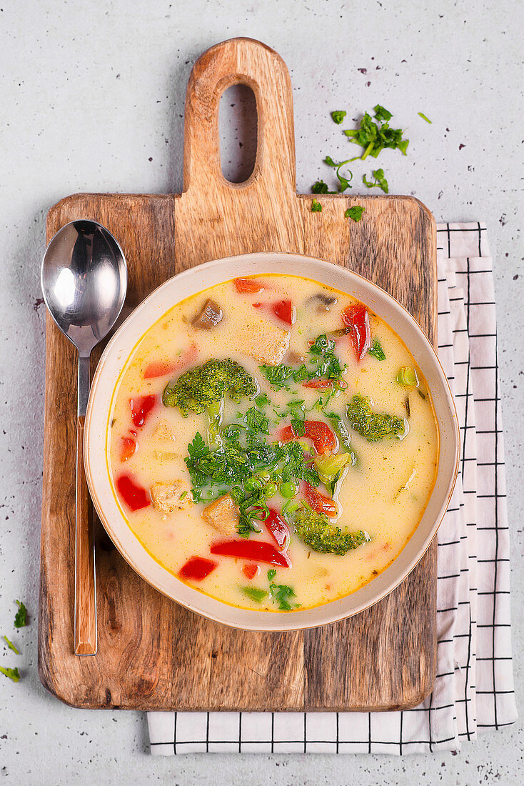 Vegetable soup with chicken, broccoli and red pepper
