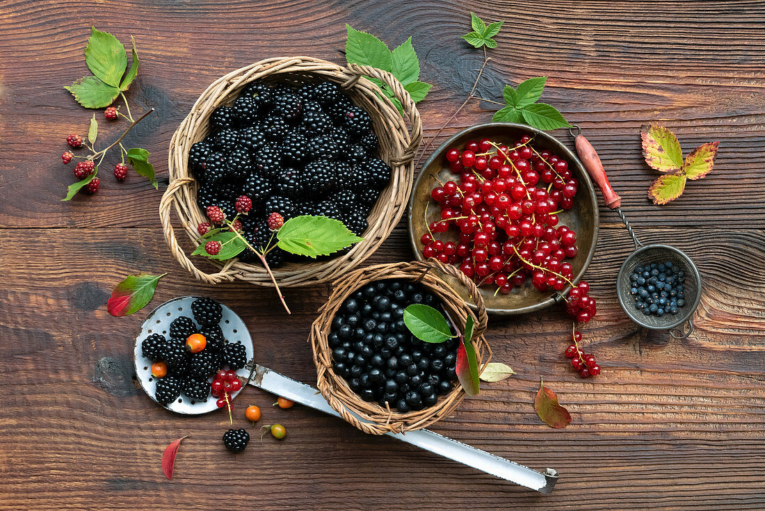 Still life with blackberries, blueberries and currants