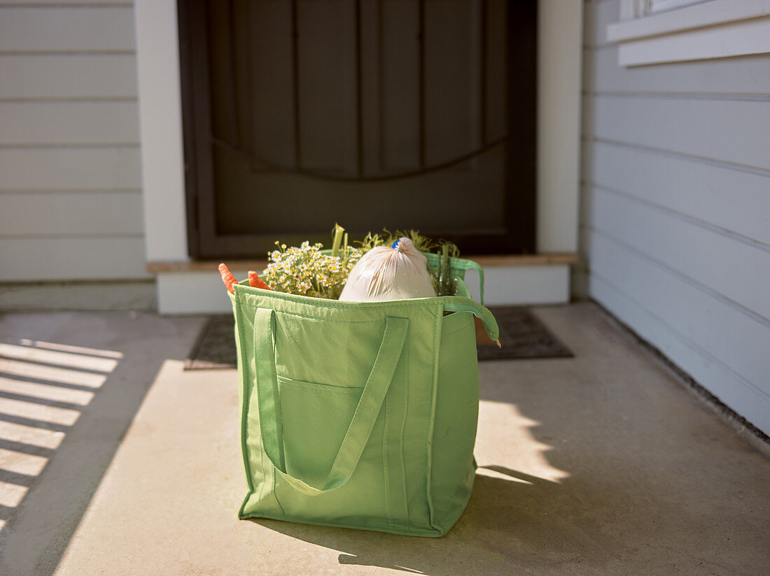 Online grocery shopping in a bag on a doorstep
