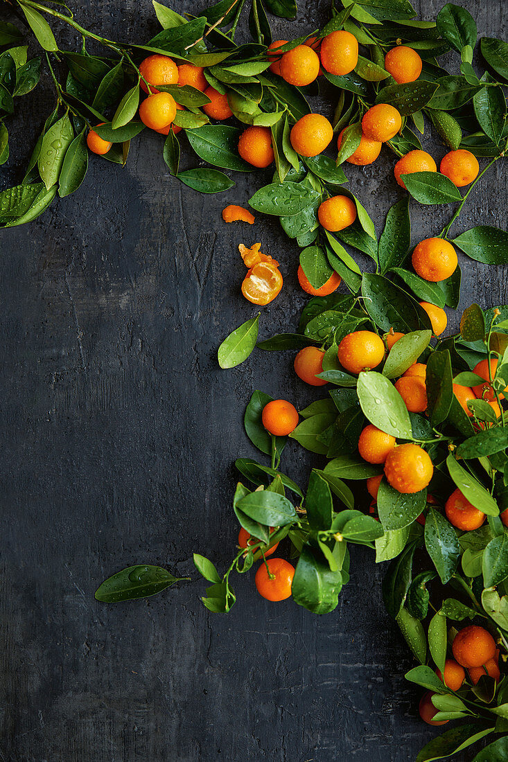Kumquats mit Blättern