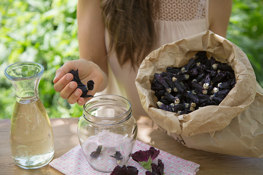 Preparing hollyhock wine: put dried hollyhock flowers in a jar