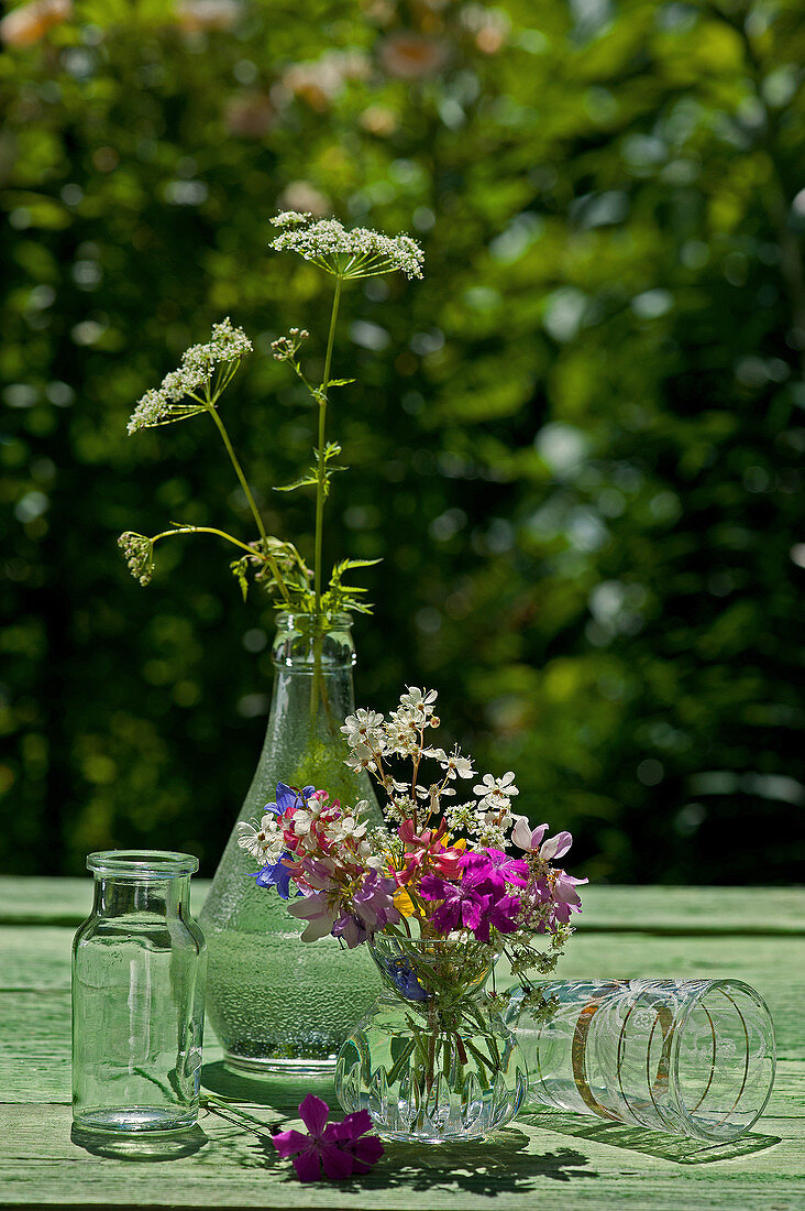 Buntes Sommersträußchen und Flasche mit Blüten der großen Bibernelle